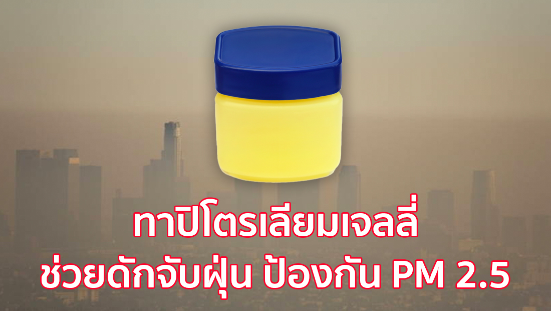 ทาปิโตรเลียมเจลลี่ ช่วยดักจับฝุ่น ป้องกัน PM 2.5