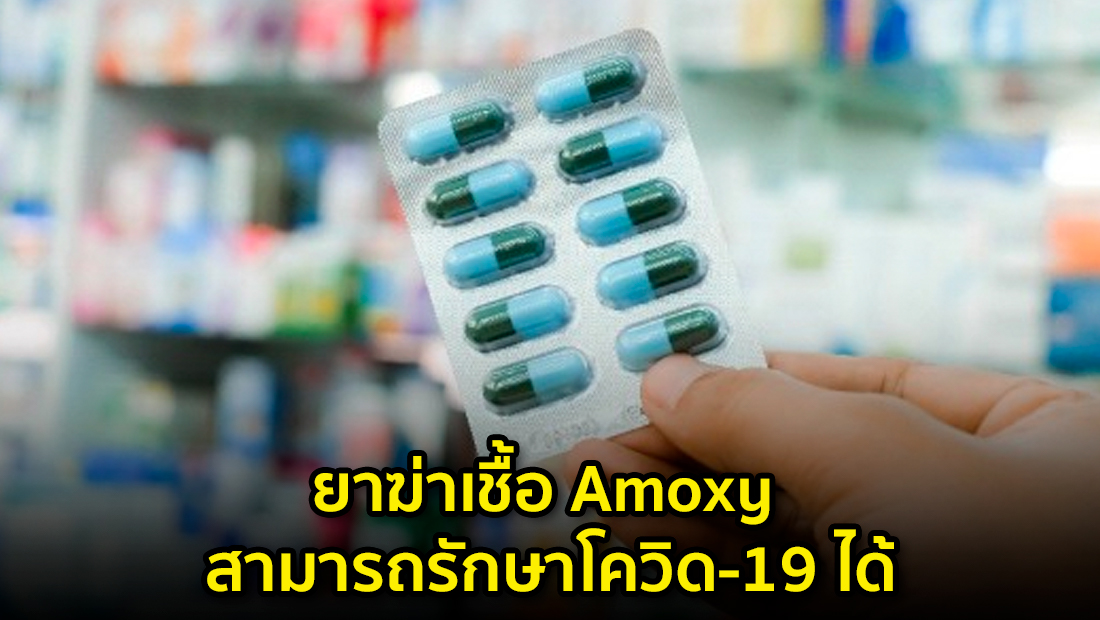 ข่าวปลอม อย่าแชร์! ยาฆ่าเชื้อ Amoxy สามารถรักษาโควิด-19 ได้