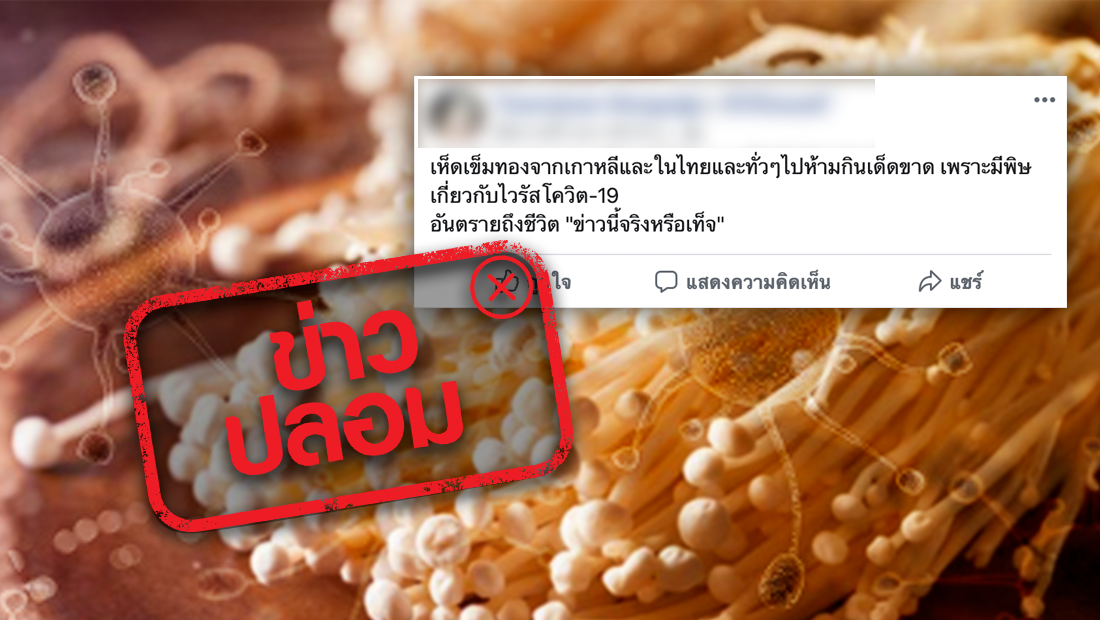 ข่าวปลอม อย่าแชร์! ห้ามกิน! เห็ดเข็มทองเพราะมีพิษโควิด-19 อันตรายถึงชีวิต