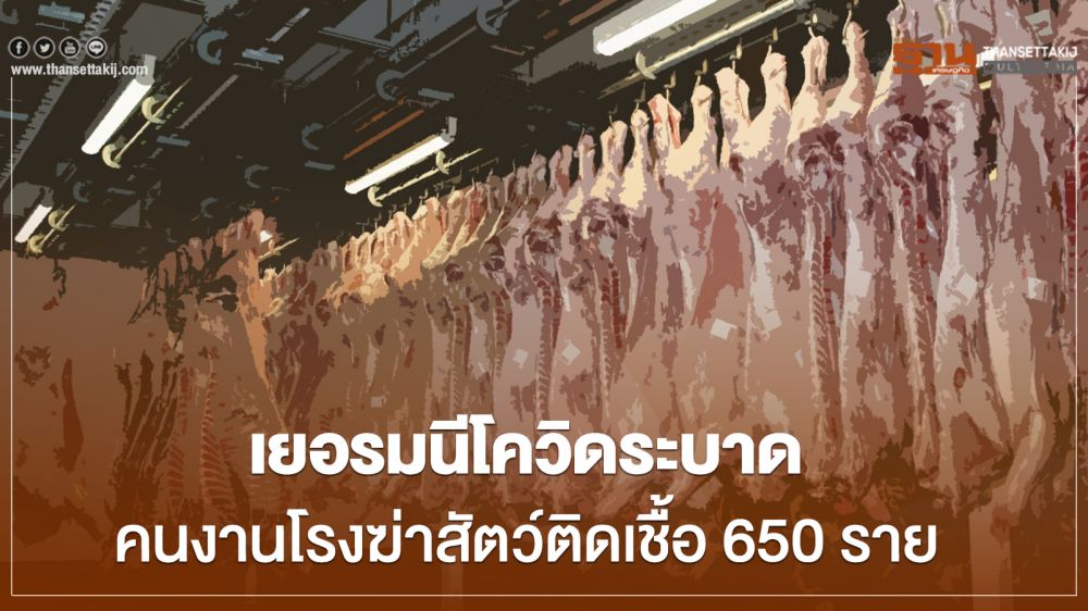 เยอรมนี ผวาโควิดระบาดคนงานโรงฆ่าสัตว์ติดเชื้อกว่า 650 ราย