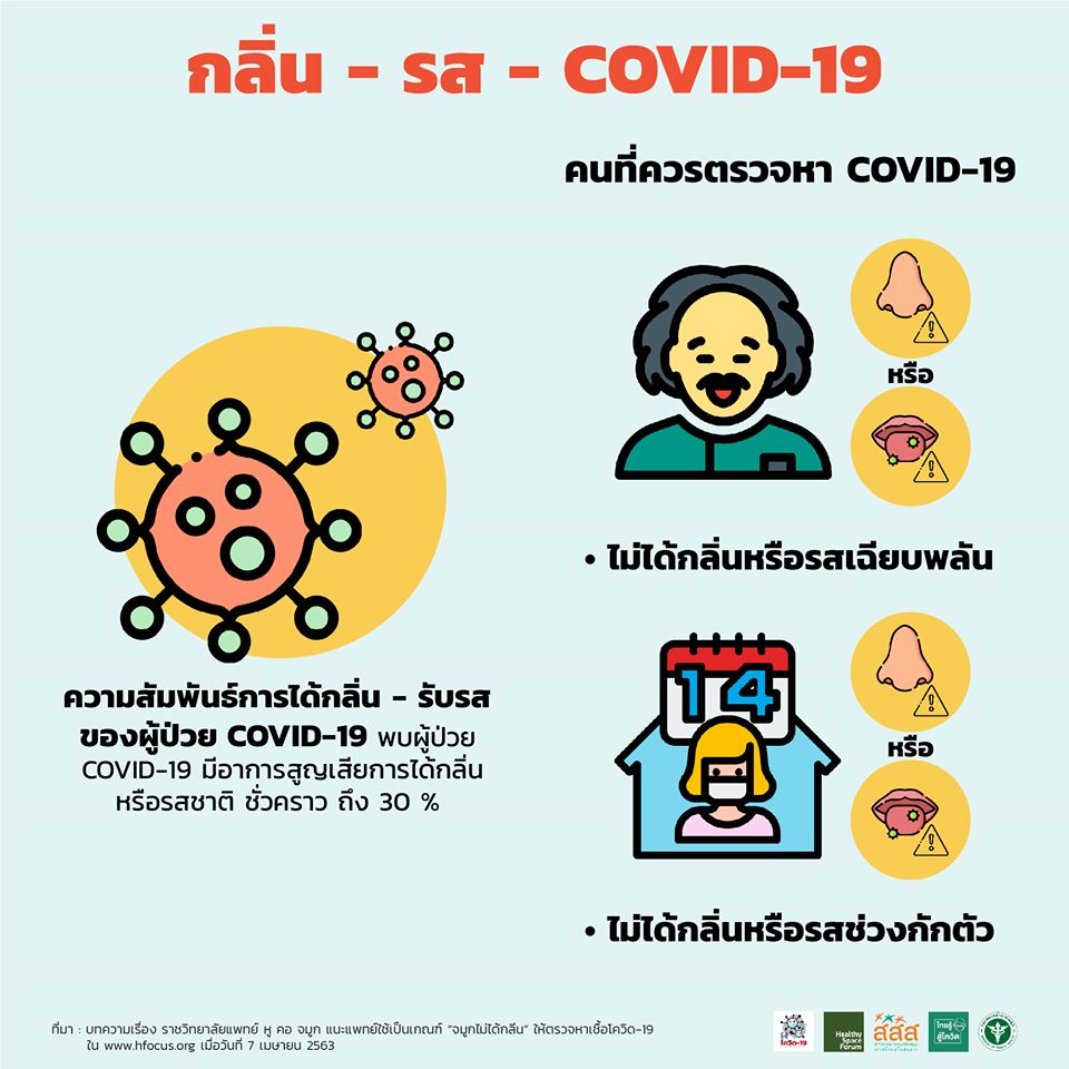 ราชวิทยาลัยแพทย์ หู คอ จมูก แนะแพทย์ใช้เป็นเกณฑ์ “จมูกไม่ได้กลิ่น” ให้ตรวจหาเชื้อโควิด-19