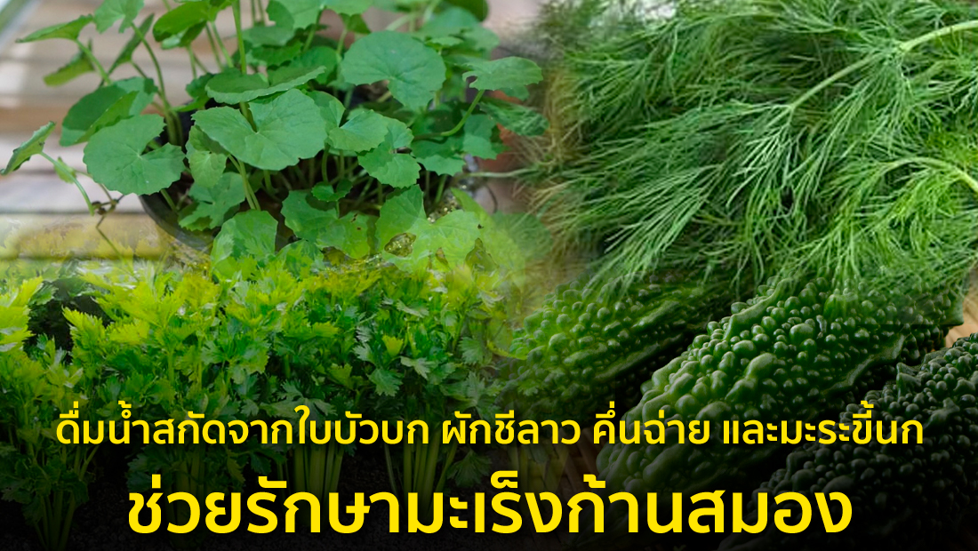 ข่าวปลอม อย่าแชร์! ดื่มน้ำสกัดจากใบบัวบก ผักชีลาว คึ่นฉ่าย และมะระขี้นก ช่วยรักษามะเร็งก้านสมอง