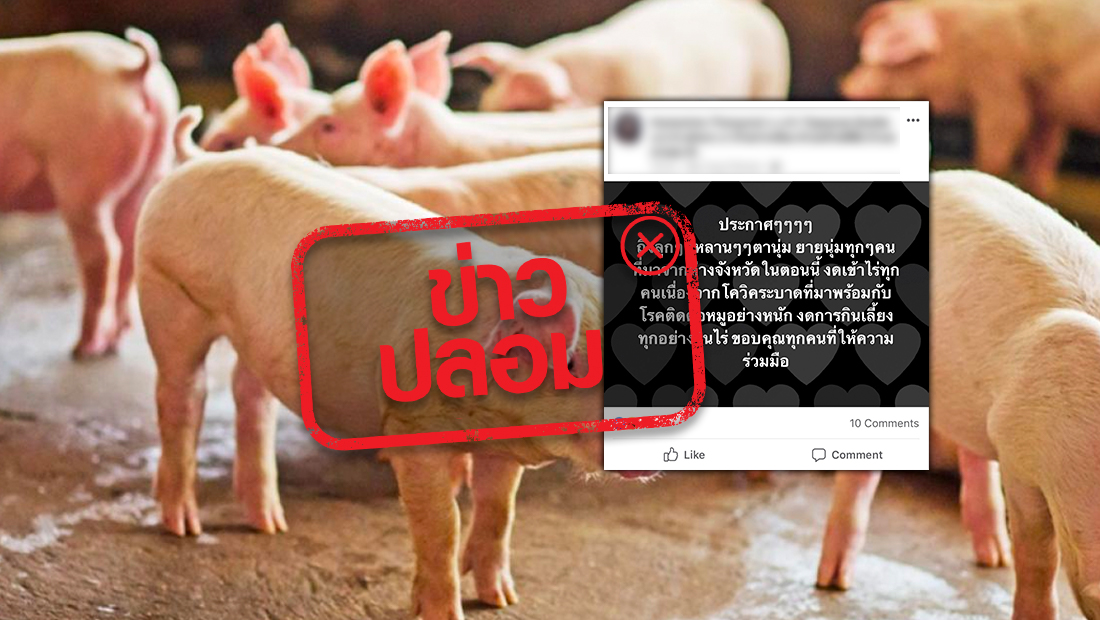 เชื้อไวรัสโควิด-19 ที่ระบาด มาพร้อมกับโรคติดต่อของหมู