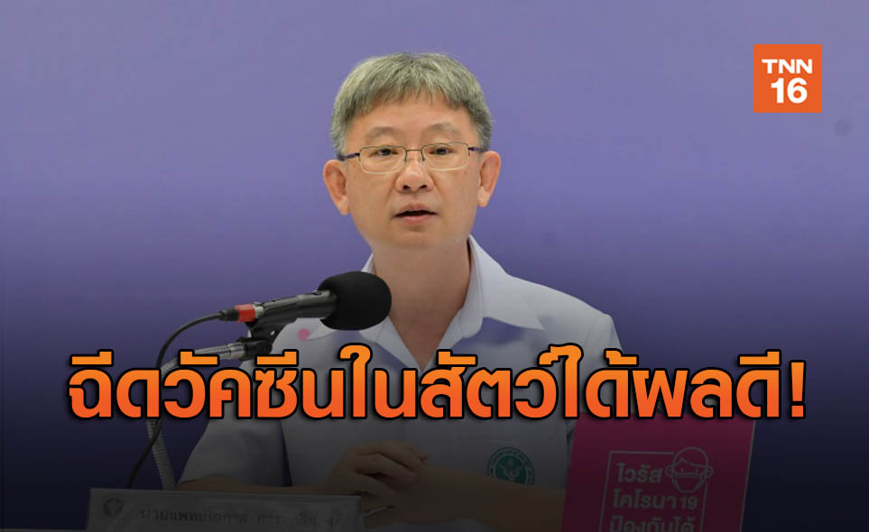 ข่าวดี! ไทยทดลองวัคซีนโควิด-19 ในหนู พบผลเลือด-ร่างกายดีขึ้น